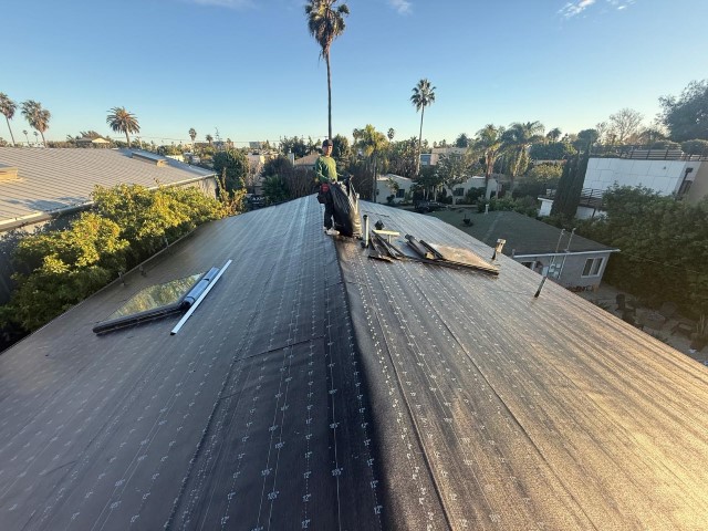 Complete shingle roof in Venice, California